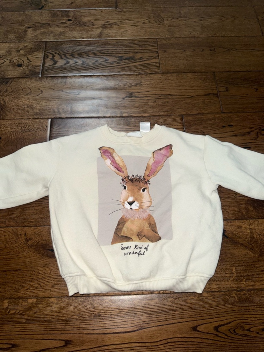 Zara Cream Bunny Crewneck Size 12-18 Month